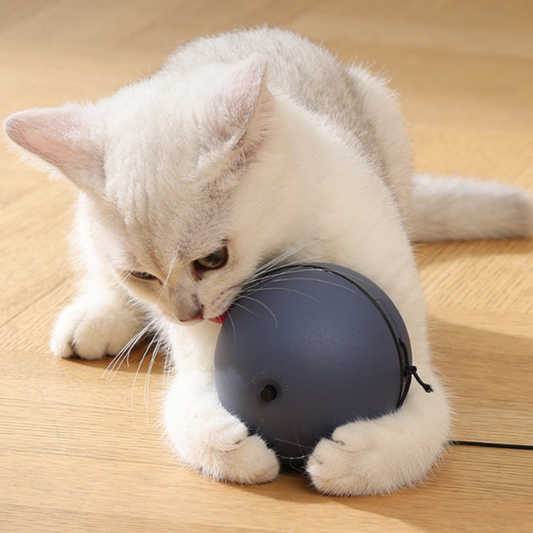 Rolling Teaser Ball Pet Toy