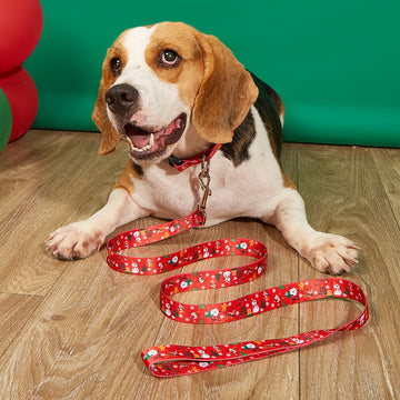 Christmas Pet Leash