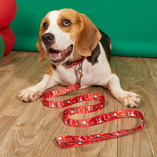 Christmas Pet Leash