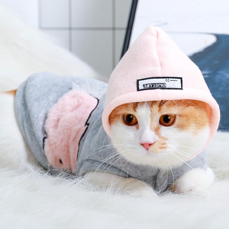 Pet Winter Hoodie