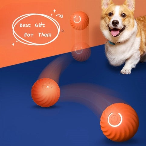 Dog Rubber Ball Toy