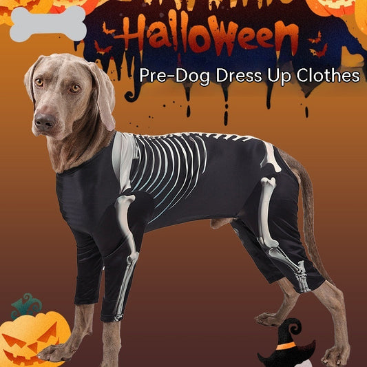 Pet Skeleton Halloween Costume