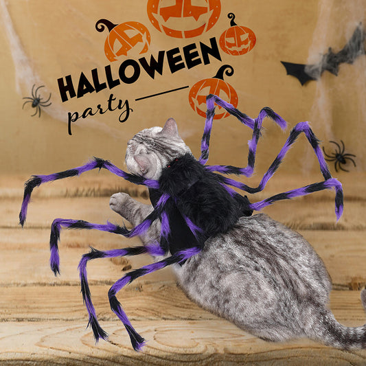 Big Spider Pet Costume