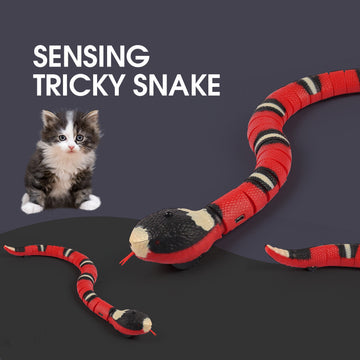 Smart Snake Cat Toy