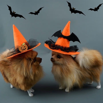 Halloween Pet Hat